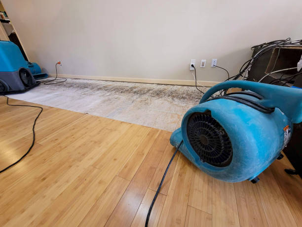 Professional Structural Drying technician working in Bethel, WA